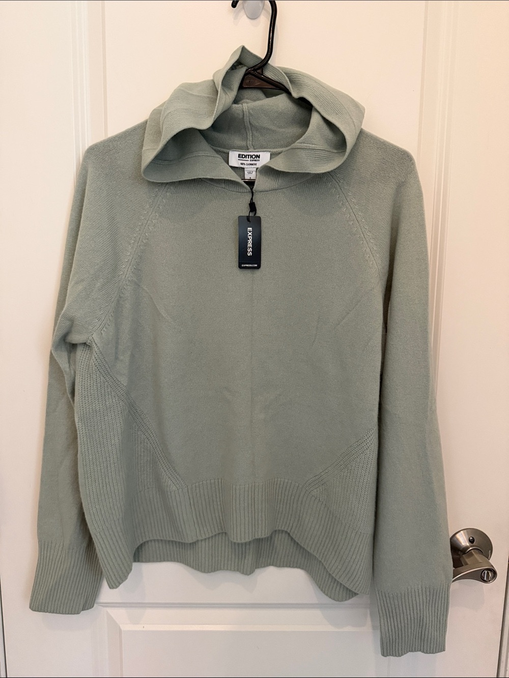 Express Edition Sage Green Cashmere sweater hoodie